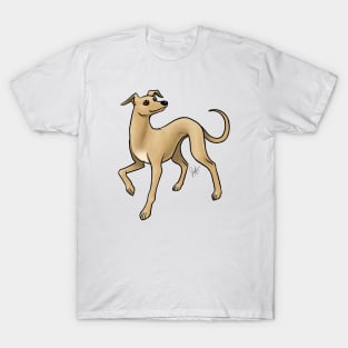 Dog - Italian Greyhound - Fawn T-Shirt